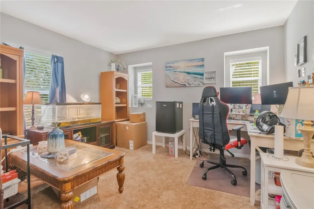 19604 TIMBERBLUFF DRIVE Land O Lakes, FL 34638
