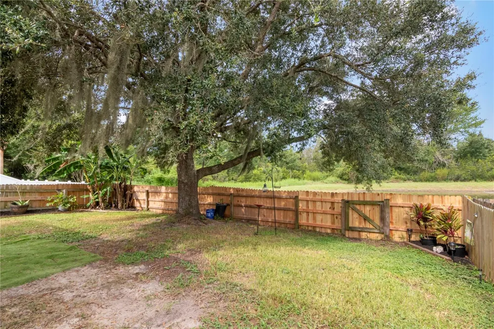 19604 TIMBERBLUFF DRIVE Land O Lakes, FL 34638