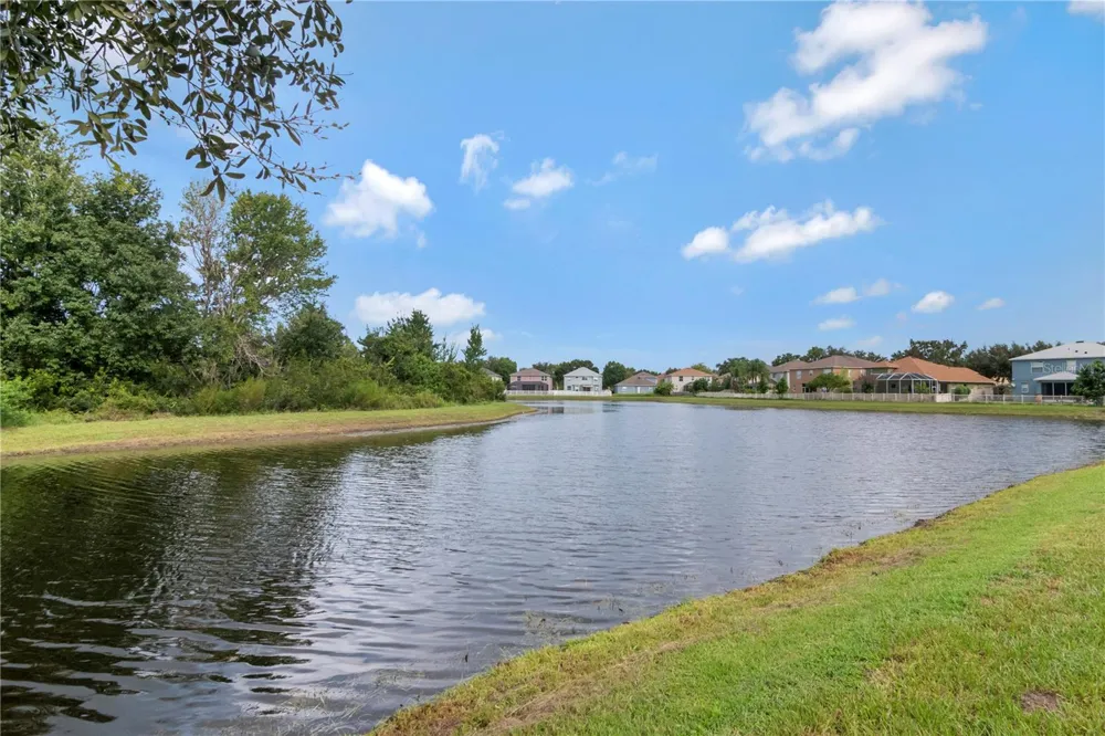 19604 TIMBERBLUFF DRIVE Land O Lakes, FL 34638