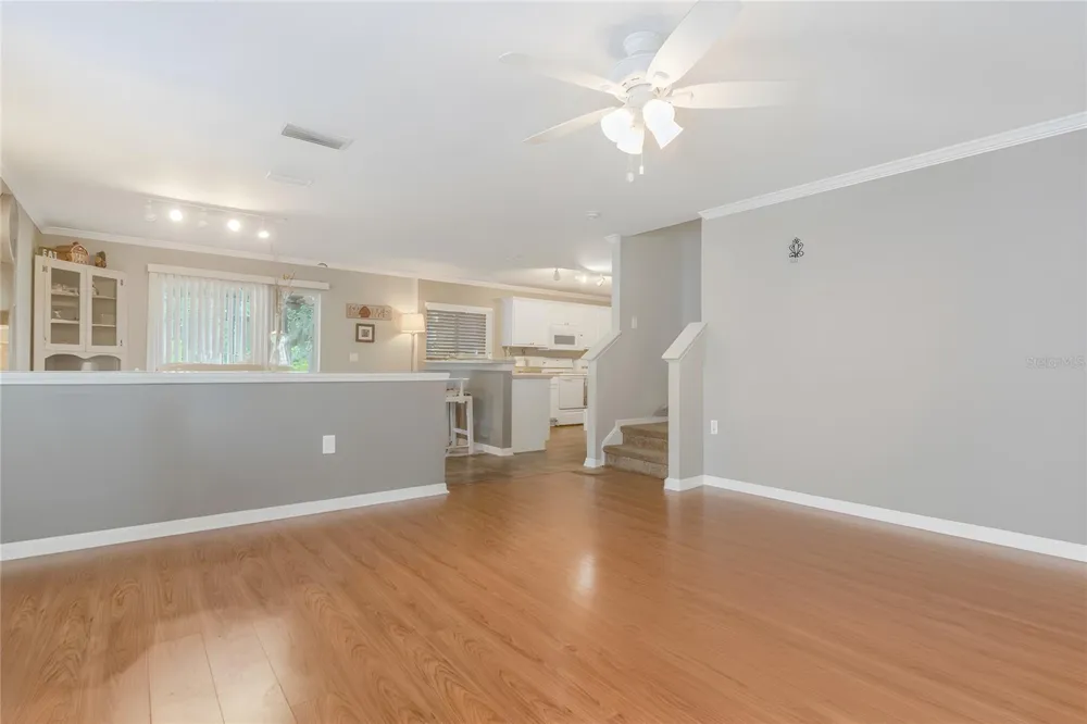 19604 TIMBERBLUFF DRIVE Land O Lakes, FL 34638
