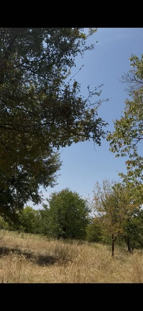 103234 Hillside Circle Lone Oak, TX 75453