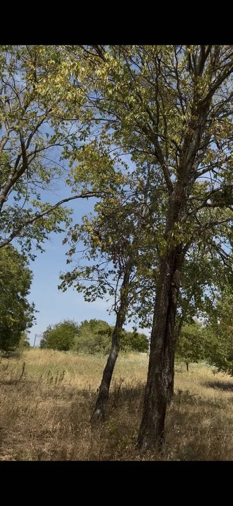 103234 Hillside Circle Lone Oak, TX 75453