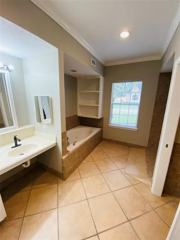 71 Wick Willow Drive Montgomery, TX 77356
