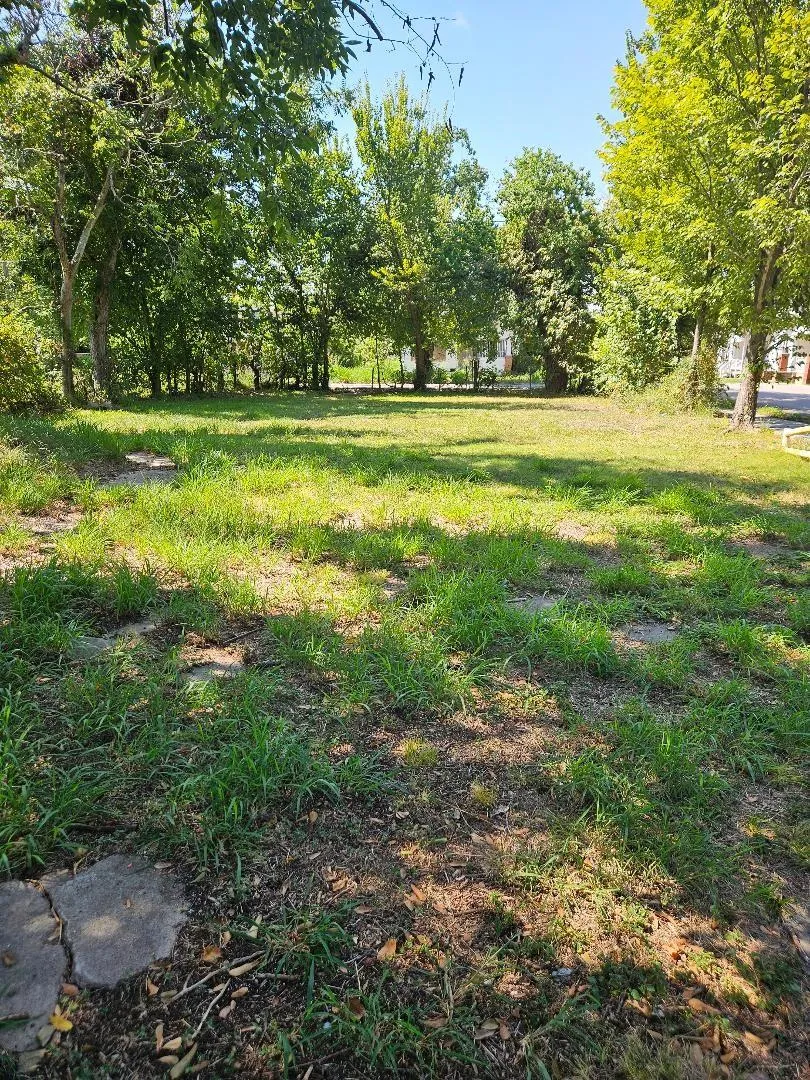 3300 Rosalie Street Houston, TX 77004