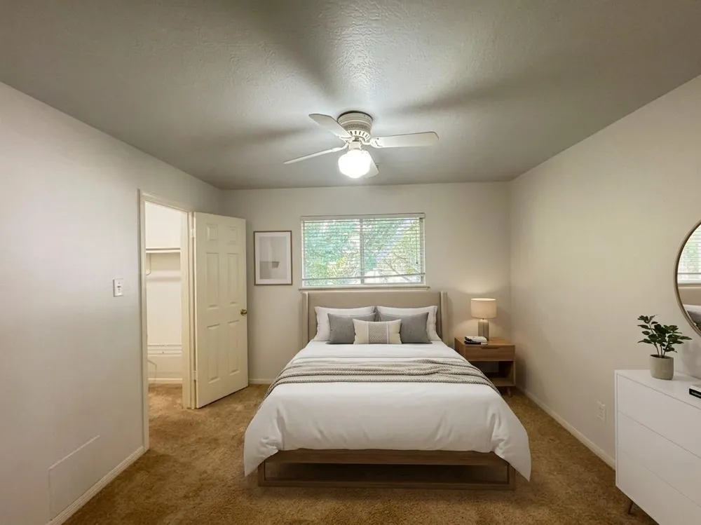 210 Rolling Plains Drive Sugar Land, TX 77479