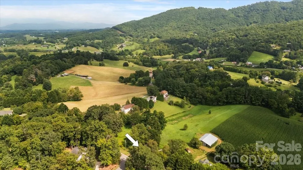 308 Browntown Road Leicester, NC 28748