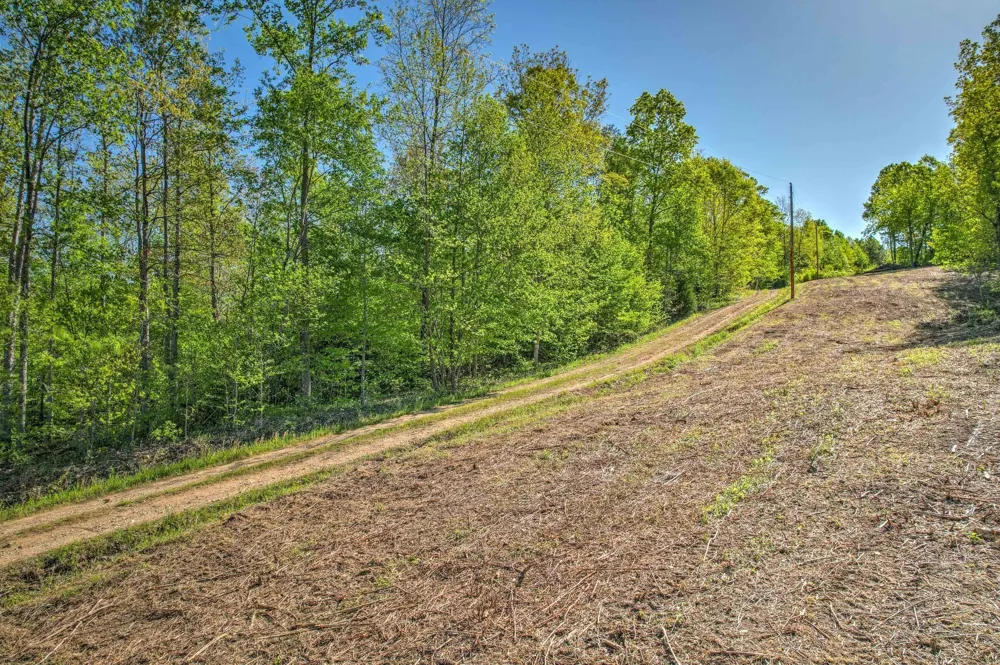 0 Chief Creek Rd Lawrenceburg, TN 38464