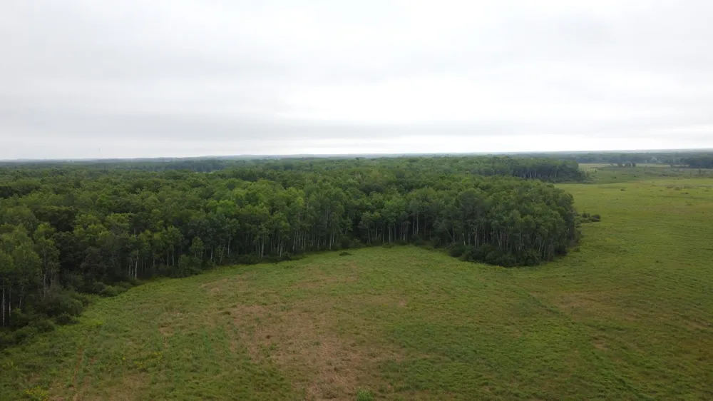 2236 Meadowview Road Brainerd, MN 56401