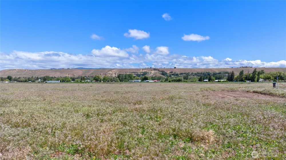 521 Thorp Landing Lane Thorp, WA 98926