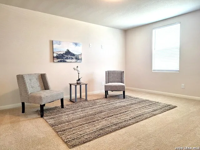 117 ANTLER BND San Antonio, TX 78253