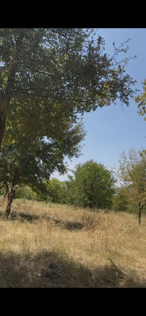 103235 Hillside Circle Lone Oak, TX 75453
