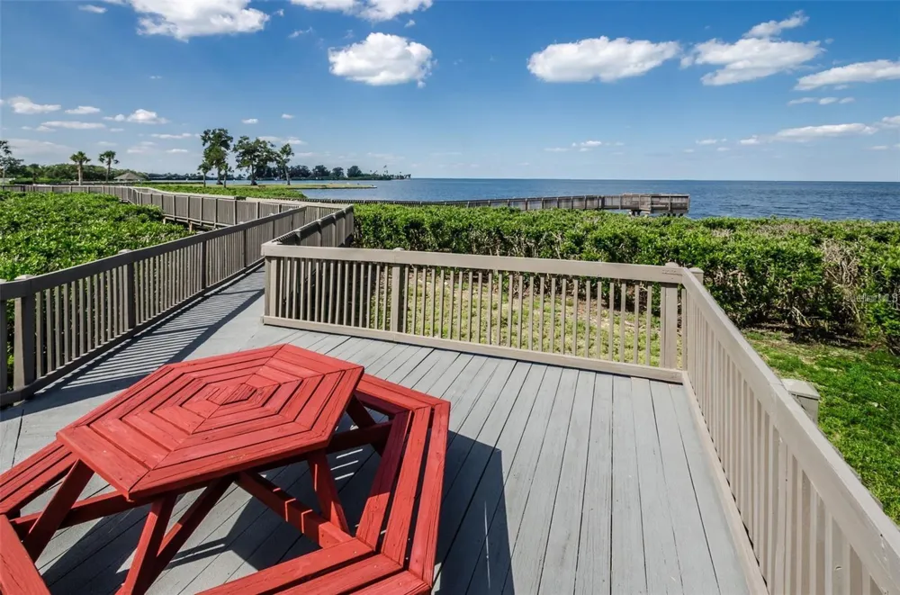 321 WINDRUSH LOOP Tarpon Springs, FL 34689