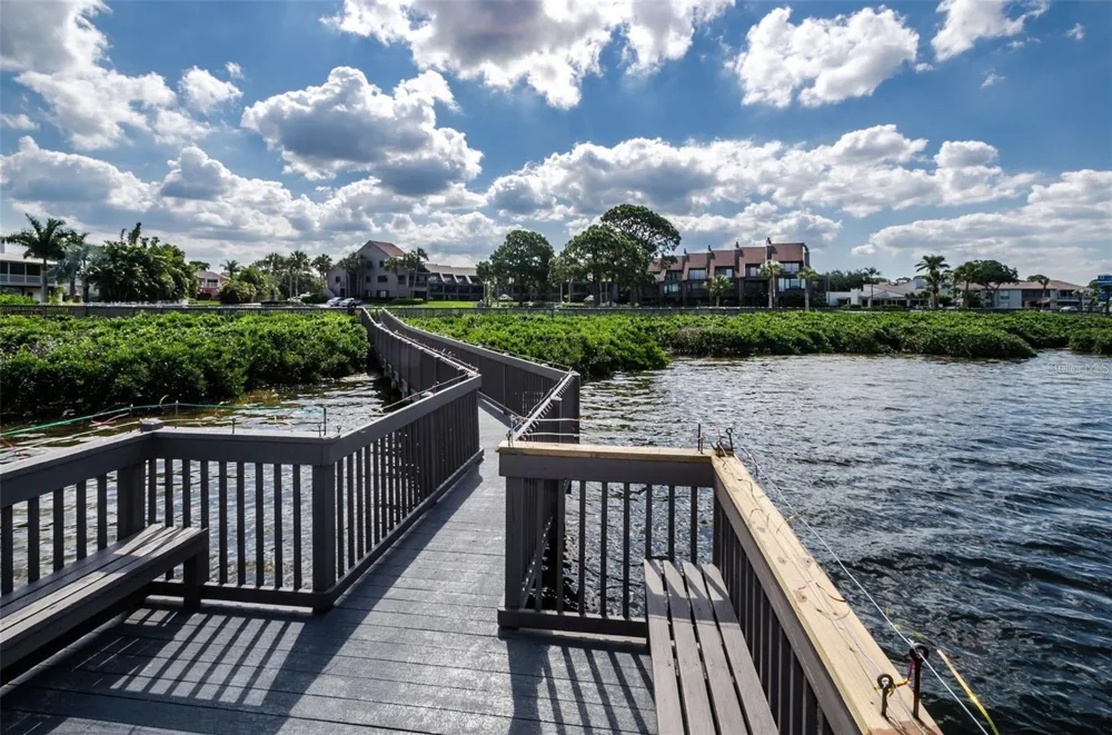 321 WINDRUSH LOOP Tarpon Springs, FL 34689