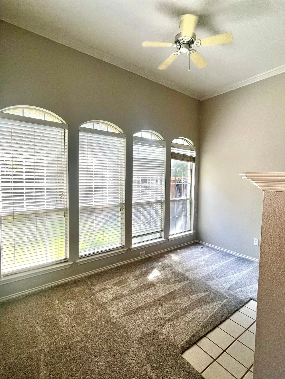 4100 Burnhill Drive Plano, TX 75024