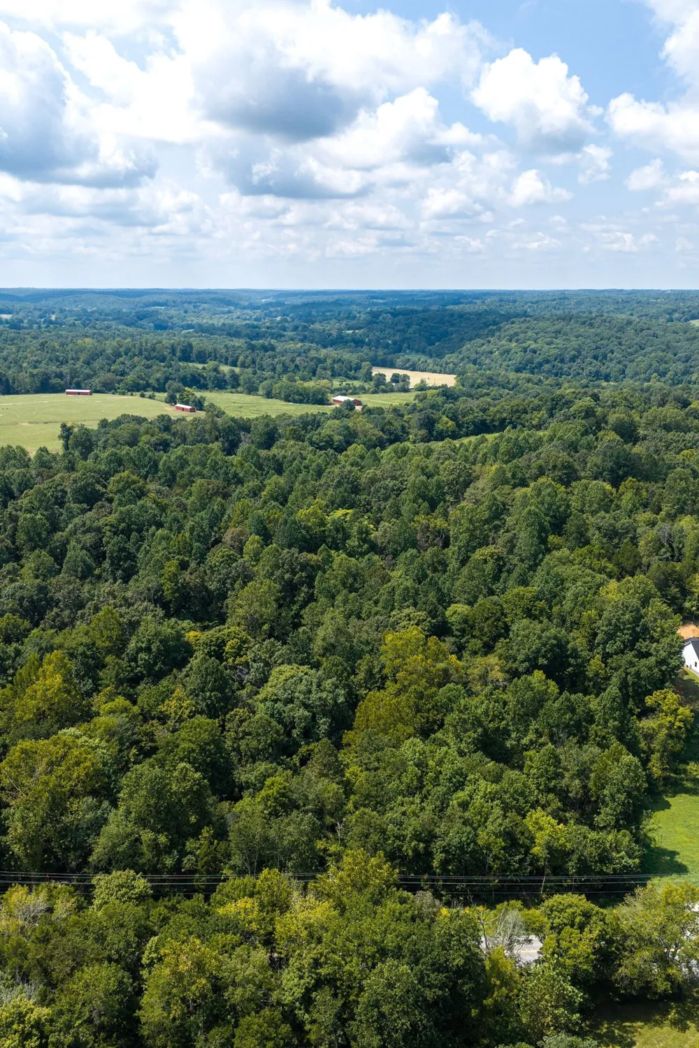 0 Highway 48 N Cumberland Furnace, TN 37051