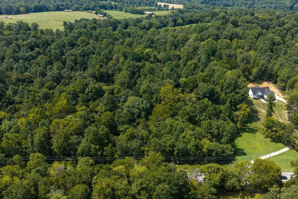 0 Highway 48 N Cumberland Furnace, TN 37051