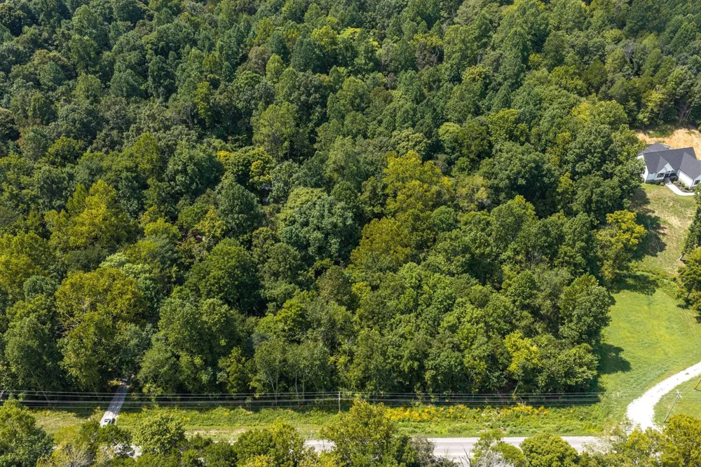 0 Highway 48 N Cumberland Furnace, TN 37051