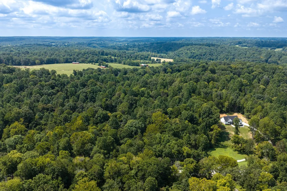 0 Highway 48 N Cumberland Furnace, TN 37051