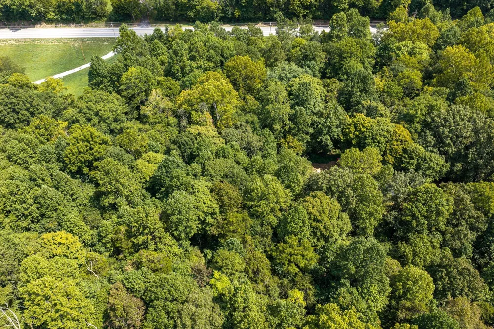 0 Highway 48 N Cumberland Furnace, TN 37051