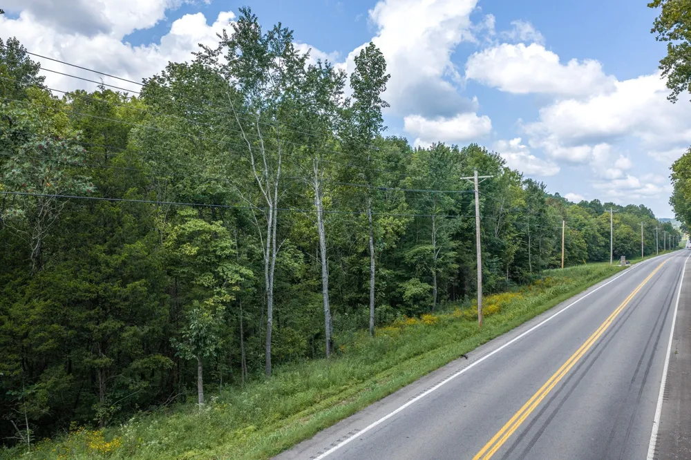 0 Highway 48 N Cumberland Furnace, TN 37051