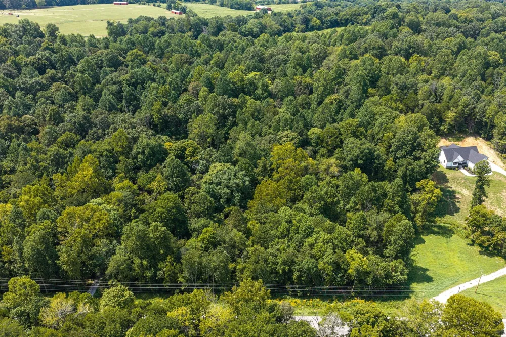 0 Highway 48 N Cumberland Furnace, TN 37051