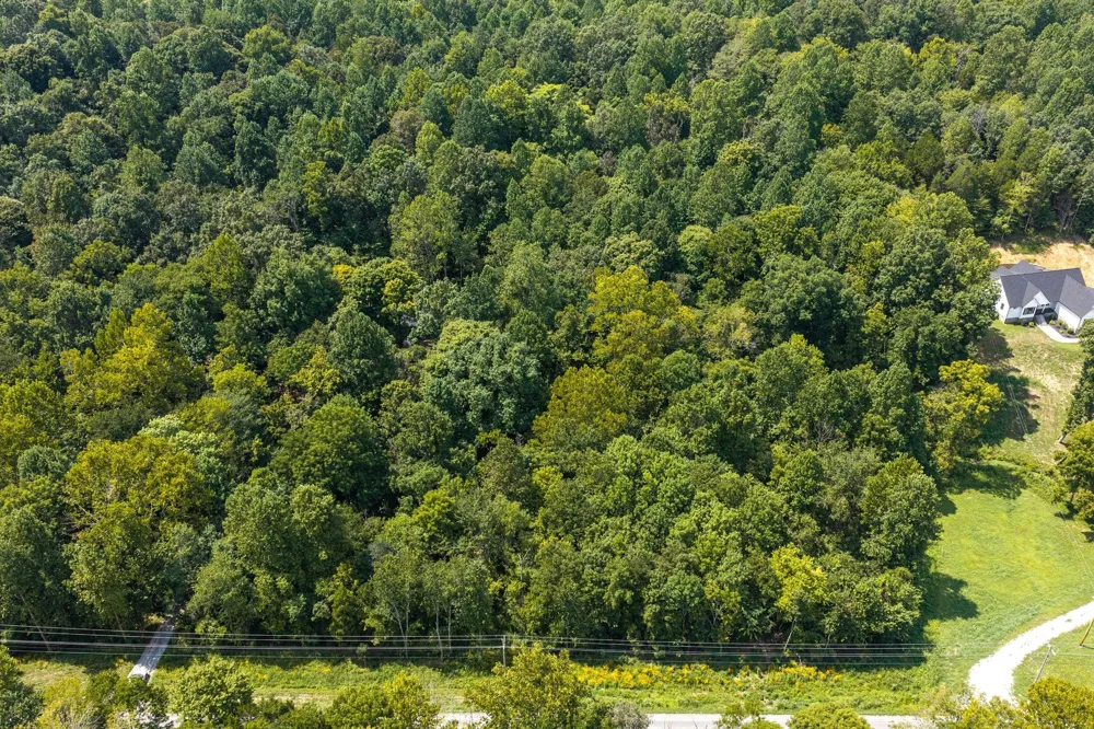 0 Highway 48 N Cumberland Furnace, TN 37051