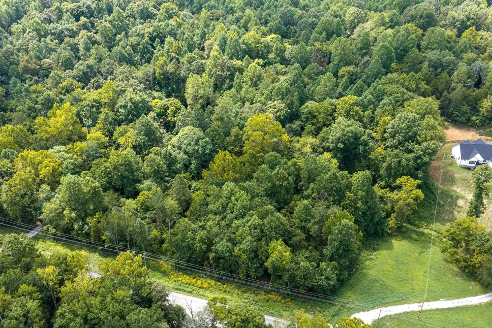 0 Highway 48 N Cumberland Furnace, TN 37051