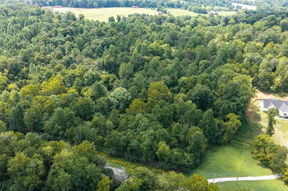 0 Highway 48 N Cumberland Furnace, TN 37051