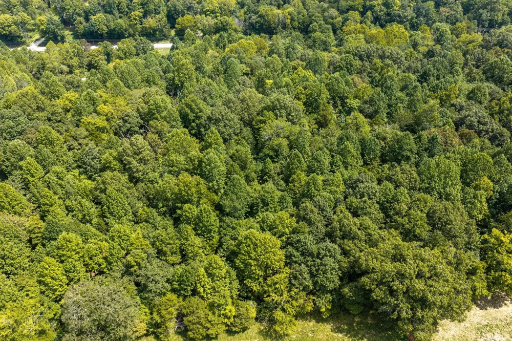 0 Highway 48 N Cumberland Furnace, TN 37051