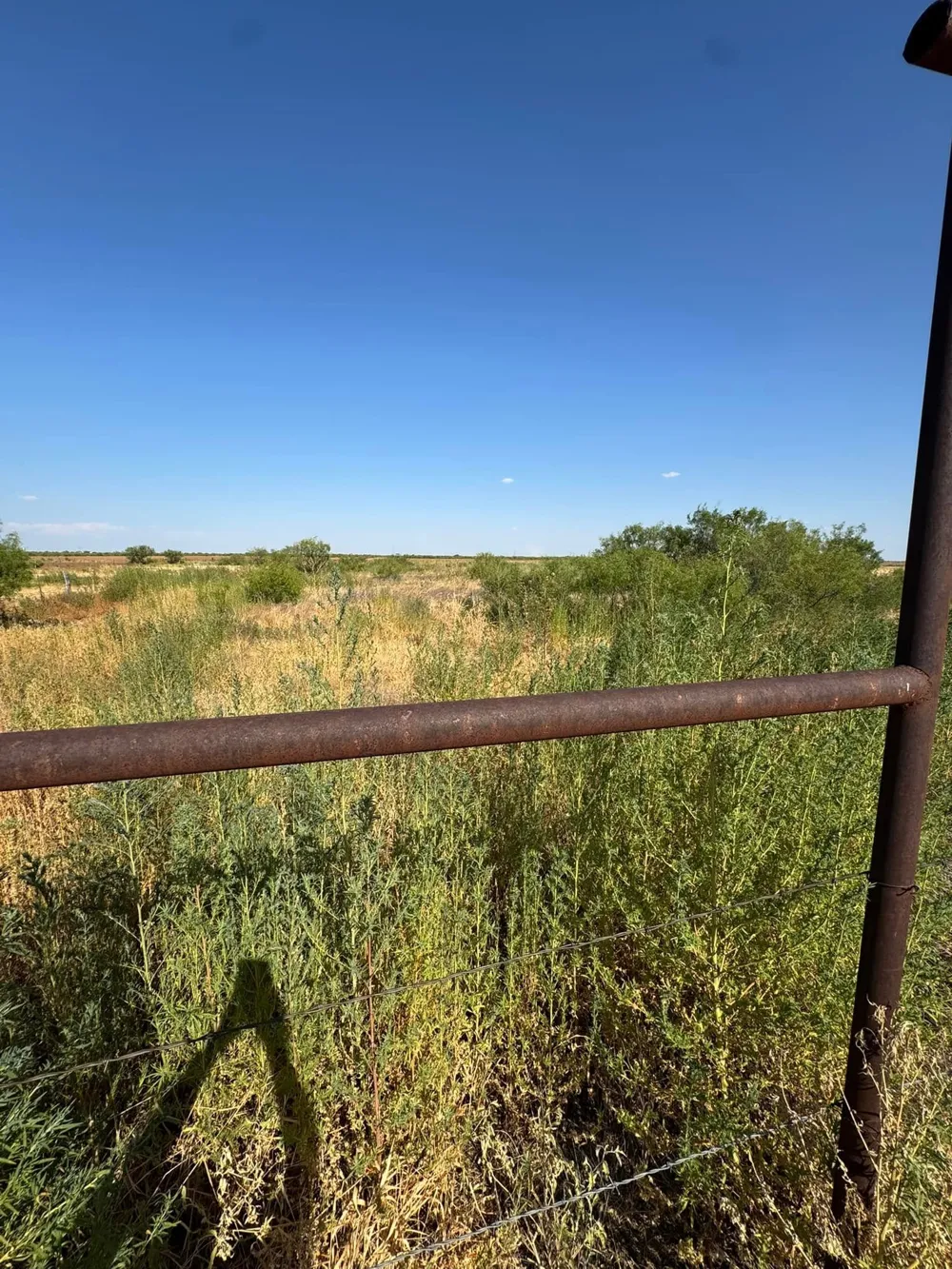 1807 Tx-6 Quanah, TX 79252
