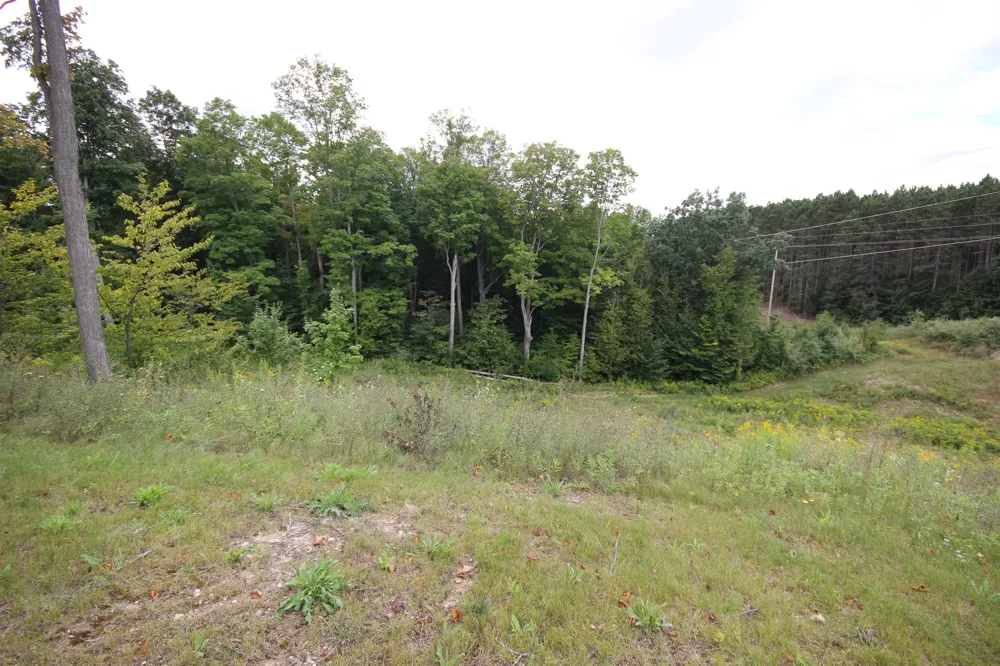 1420 Umber Drive Garfield Charter Township, MI 49696