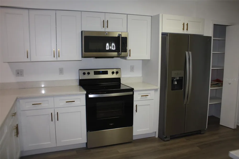 26245 NEWCOMBE CIRCLE Leesburg, FL 34748