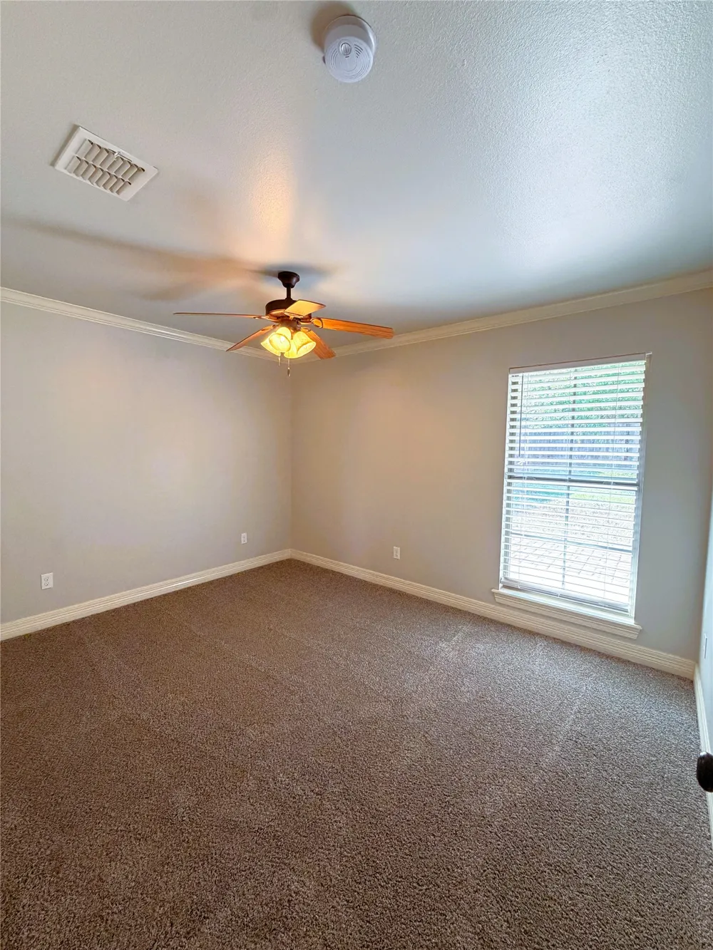 338 Wood Springs Haughton, LA 71037