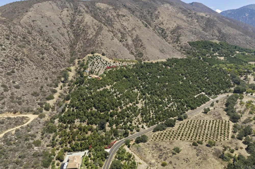 15063 Adams Drive Pala, CA 92061