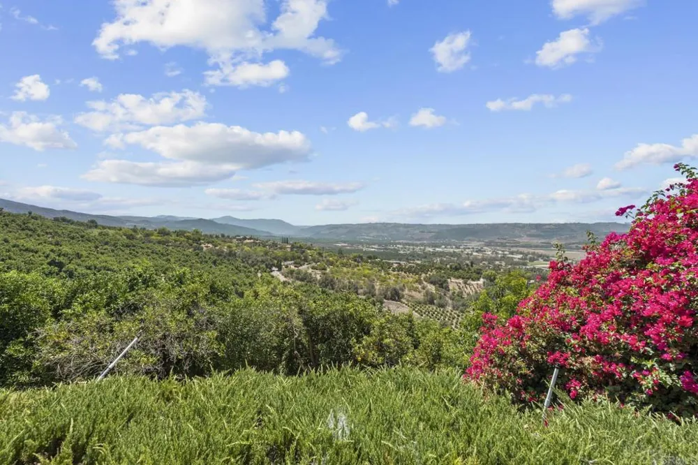 15063 Adams Drive Pala, CA 92061