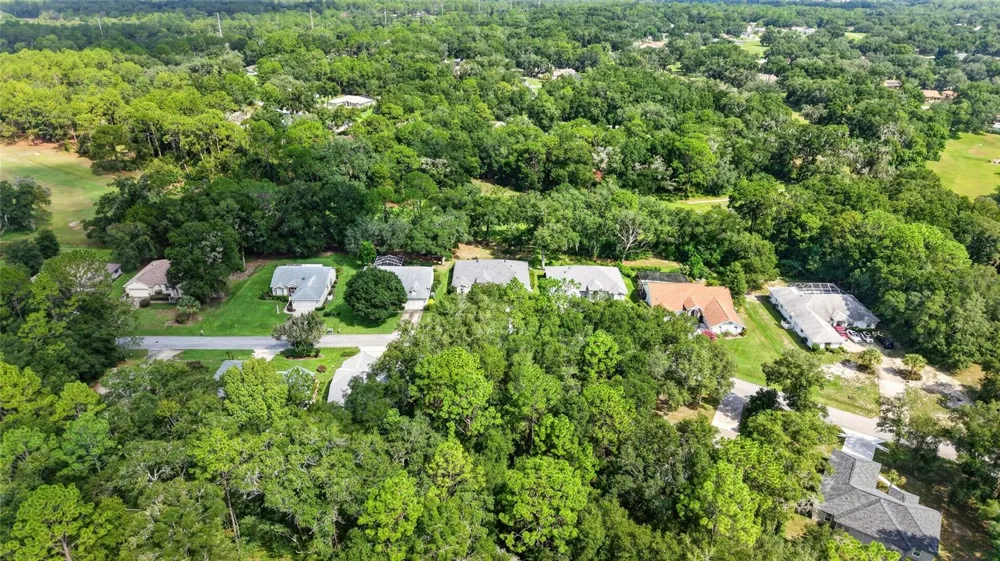 19647 SW 93RD PLACE Dunnellon, FL 34432