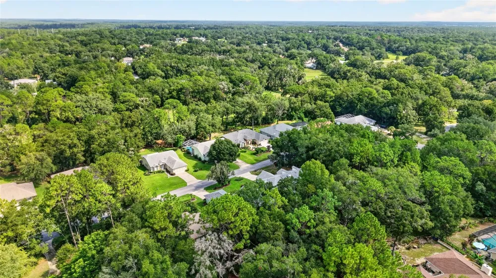 19647 SW 93RD PLACE Dunnellon, FL 34432