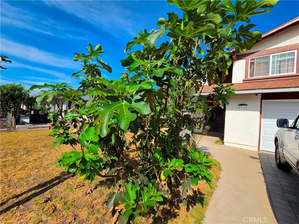 2114 Rhonda Oxnard, CA 93036
