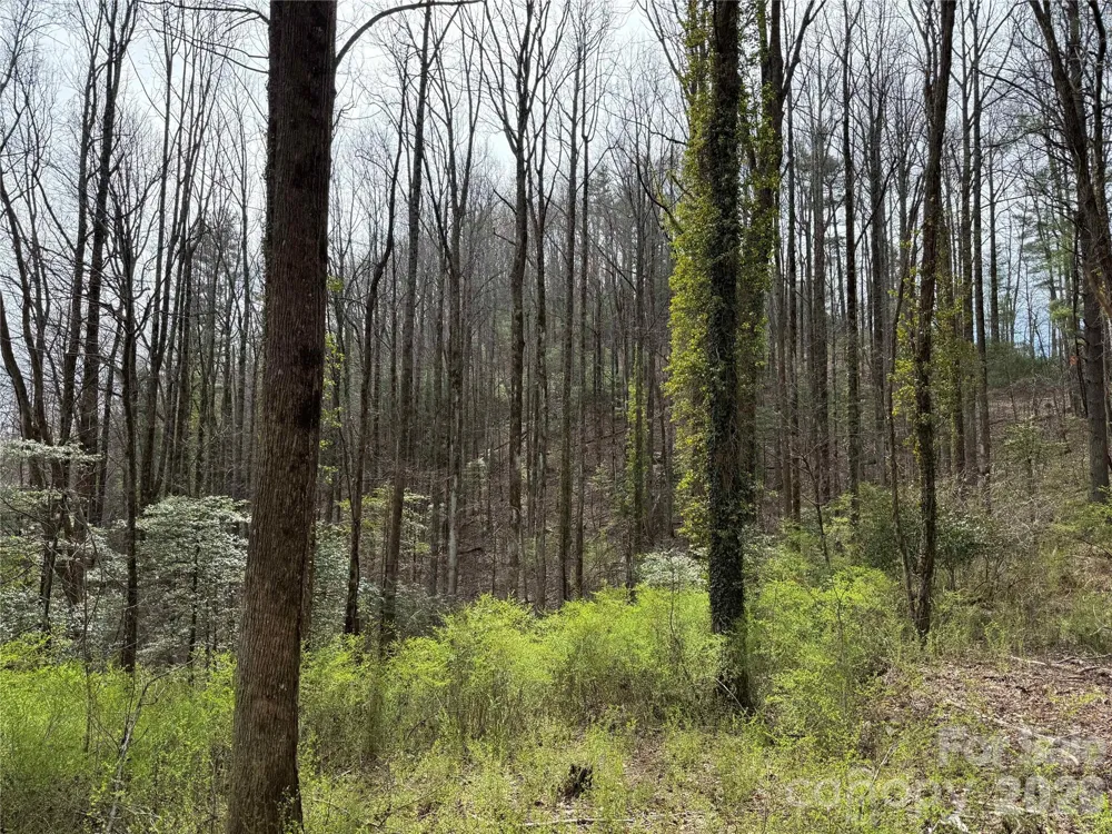 L8 Black Bear Court Sapphire, NC 28774