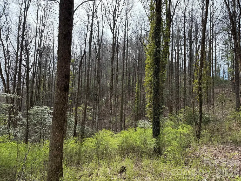 L8 Black Bear Court Sapphire, NC 28774