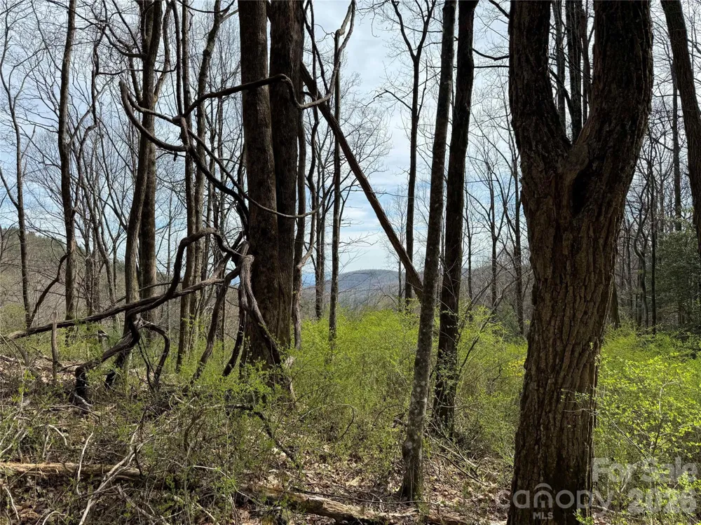 L8 Black Bear Court Sapphire, NC 28774