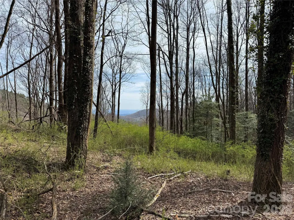 L8 Black Bear Court Sapphire, NC 28774