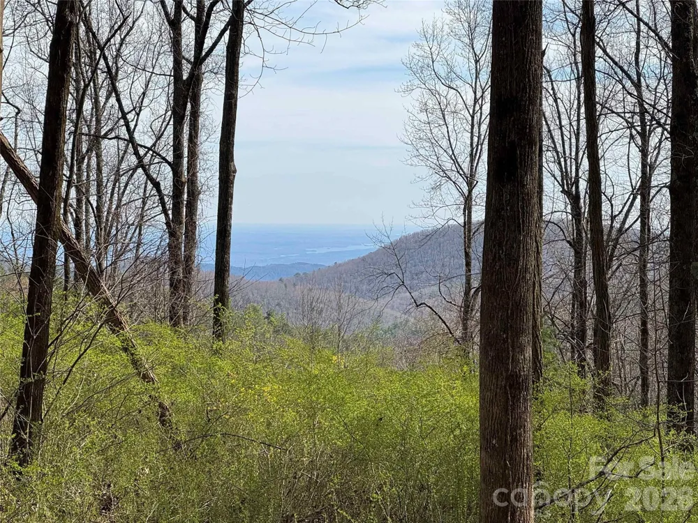 L8 Black Bear Court Sapphire, NC 28774