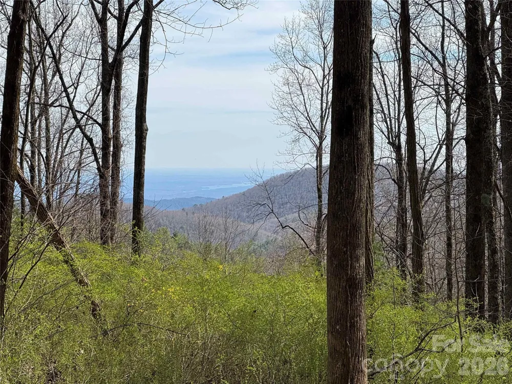 L8 Black Bear Court Sapphire, NC 28774
