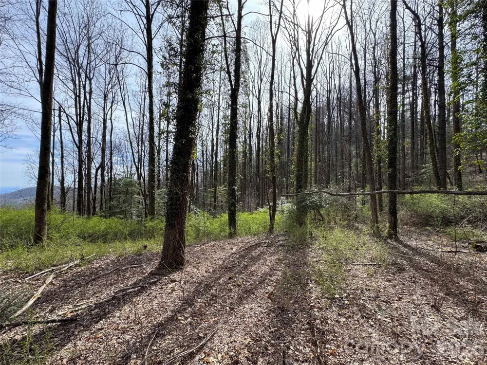 L8 Black Bear Court Sapphire, NC 28774