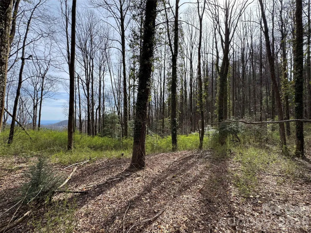 L8 Black Bear Court Sapphire, NC 28774
