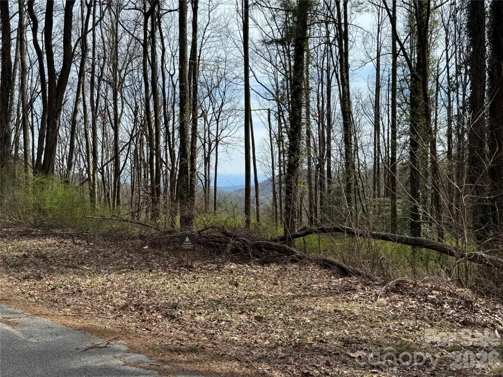 L8 Black Bear Court Sapphire, NC 28774