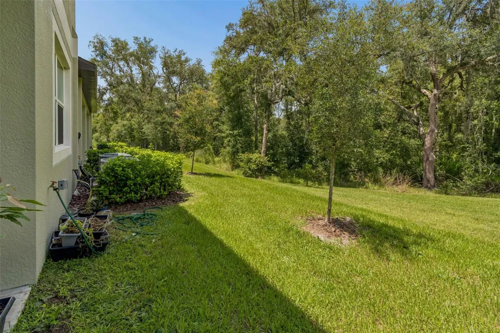11166 WISHING CLOUD ROAD Land O Lakes, FL 34638