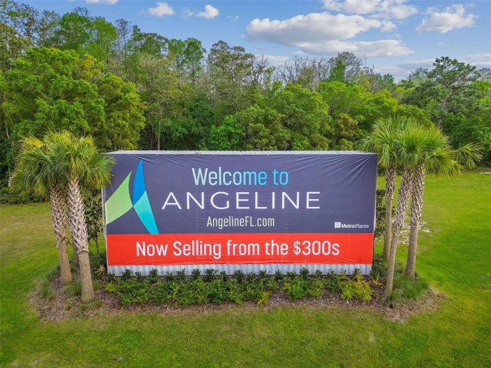11166 WISHING CLOUD ROAD Land O Lakes, FL 34638