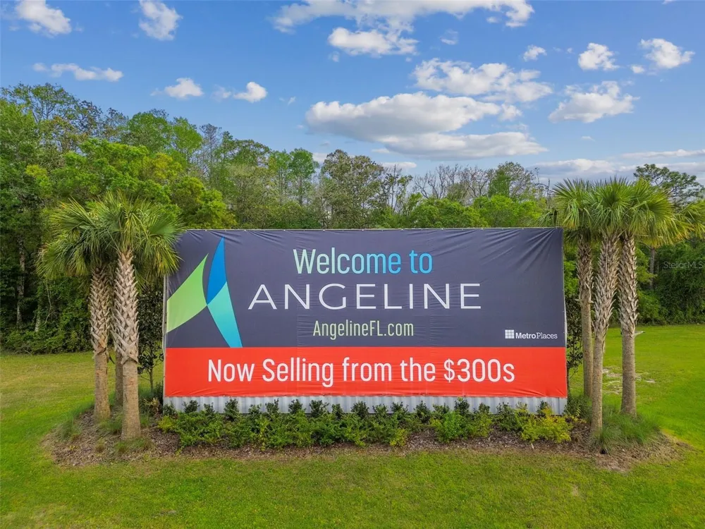 11166 WISHING CLOUD ROAD Land O Lakes, FL 34638